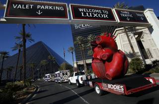 BODIES... The Exhibition and the American Heart Association welcome a 600 pound heart sculpture to the Luxor Resort & Casino on February 1, 2013 in Las Vegas, Nevada.